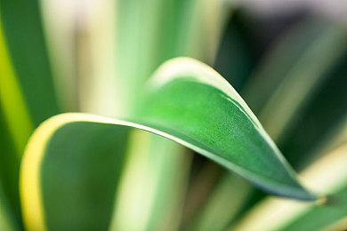 《羊蹄山之魂》后 Sucker Punch将继续开发单人游戏